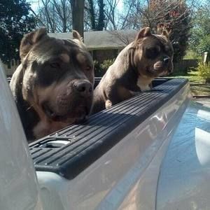 Meet your Posher, Isaiah